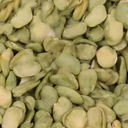 لپه باقالی سبز