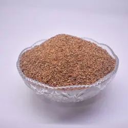 سماق بدون هسته