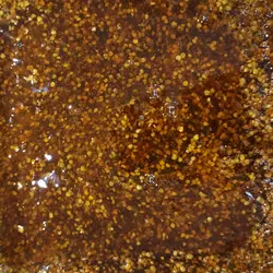 معجون گرده عسل