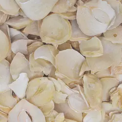 موسیر خشک