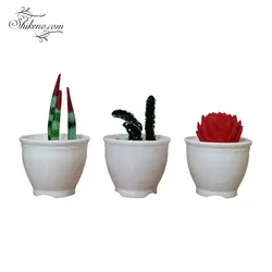 گل کاکتوس خمیری کوچک پیشگامان