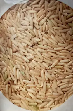 برنج قهوه ای(سبوس دار) هیمه