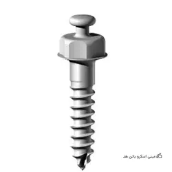 مینی اسکرو باتن هد Osteonic استنلس استیل تک عددی | شاپ دنت