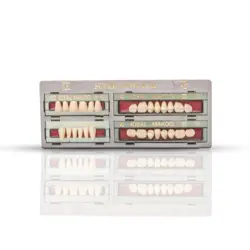 دندان مصنوعی super Newclar رنگ  A3