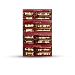 دندان مصنوعی glamour  رنگ A2