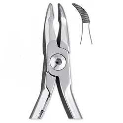 پلایر وینگارد