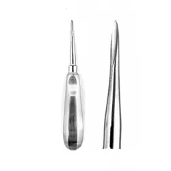 الواتور نوک تیز متوسط