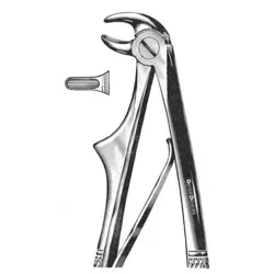 فورسپس ریشه کش پایین اطفال