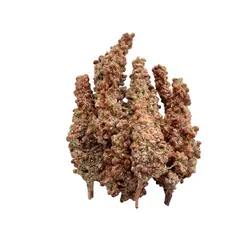 خوشه سماق