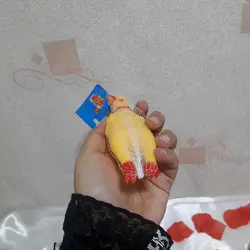 عروسک مرغ نالان