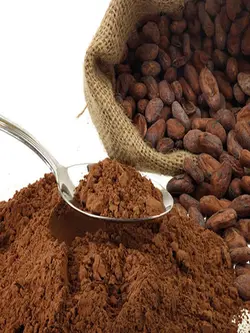 پودرکاکائو اصل