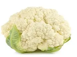 گل کلم دزفول