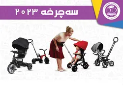 سه چرخه Flamingo فلامینگو مدل ANT PLUS - فروشگاه سیسمونی روژان