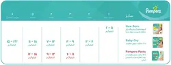 کالسکه هواپیمایی برند minipouce - فروشگاه سیسمونی روژان