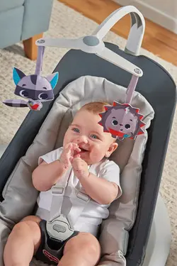 نی نی لای لای tinylove مدل Bounce & Sway - فروشگاه سیسمونی روژان