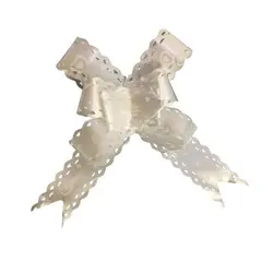 پاپیون کاغذی سایز بزرگ (تک عددی )