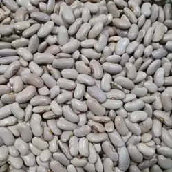 لوبیا کشاورزی سفید (1کیلویی)