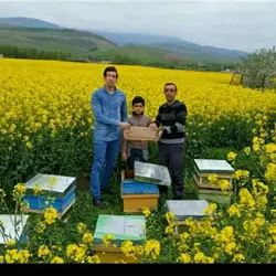 شیره عسل 100درصد طبیعی مخلوط با گرده اوکتای