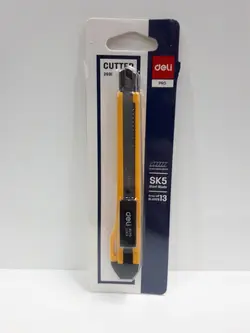 کاتر کوچک دلی