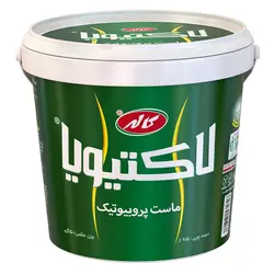 ماست پرچرب لاکتيويا - 1500 گرم - سولیسوق تهران
