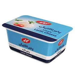 پنیر لاکتیکی کاله - 300 گرم - سولیسوق تهران