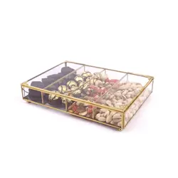 باکس شیشه ای الماس آلاسکایی