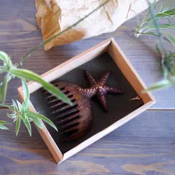 شانه مو چوبی طرح ستاره دریایی