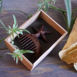 شانه مو چوبی طرح ستاره دریایی