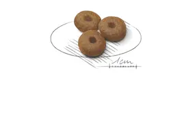 غذای سگ خشک Giant Starter Mother &amp; Babydog