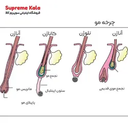 کوکتل HR3 ژنوسیس ضدریزش و رویش مجدد مو ماتریکس - سوپریم کالا