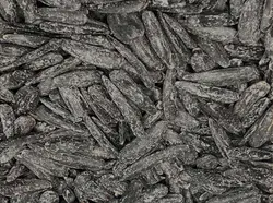 تخمه شمشیری