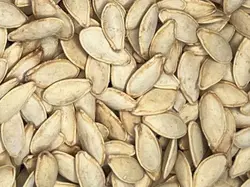 تخمه کدو مشهدی