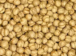 نخود دو آتیشه