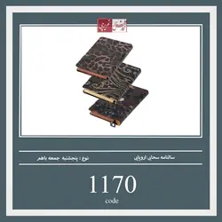 سالنامه سحابی اروپایی - کد 1170
