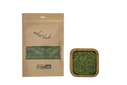 سبزی نعناء اعلاء خشک 100 گرم