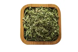 سبزی نعناء برگ 100 گرم