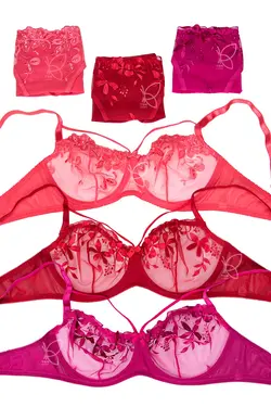 ست سوتین و شورت گیپور فنردار هارنس دار کد 12228 تی بی ان