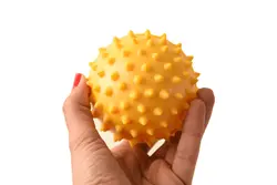 توپ ماساژ (Reflexball)