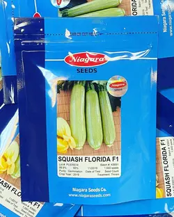 کدو فلوریدا نیاگاراF1  پاکت۱۰۰۰عددی - تهران نهاده