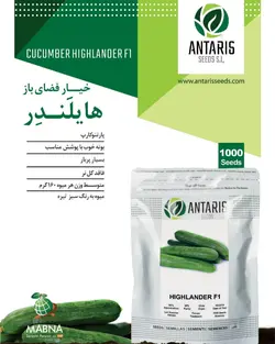 خیار فضای باز هایلندر پاکت۱۰۰۰عددی - تهران نهاده