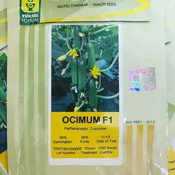 خیار مینی گلخانه ای اوسیموم F1 پاکت1000عددی - تهران نهاده