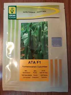 خیار گلخانه ای آتا F1  پاکت1000عددی