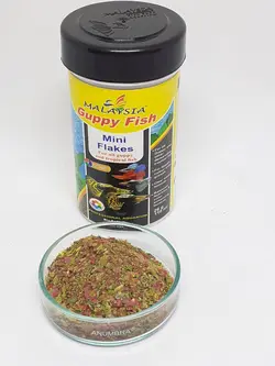 غذا ماهی مالزی