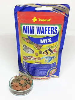 غذتا ماهی تروپیکال
