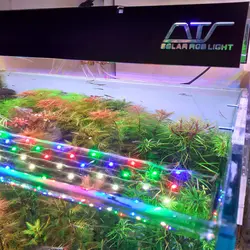 گارد نور تهران شریمپ