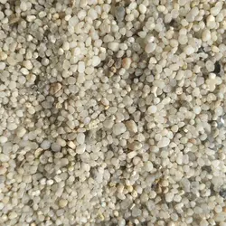 شن عربی  آکواریوم 5 کیلویی