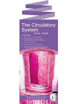 کارت پوستر THE CIRCULATORY SYSTEM
