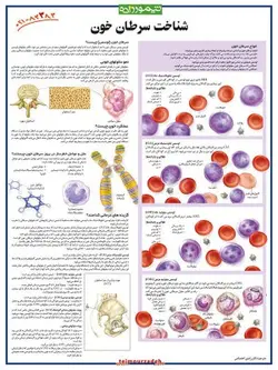 پوستر شناخت سرطان خون