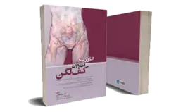 الگوریتم اختلالات کف لگن (جهت آمادگی آزمون بورد و ارتقا رشته زنان و زایمان)