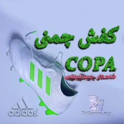 خرید کفش فوتبال آدیداس کوپا 2019 Adidas Copa